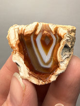 Load image into Gallery viewer, Premium Sumatra Agate (Banded Chalcedony) Display Specimen | Indonesia