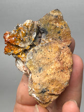 Load image into Gallery viewer, Natural Vanadinite on Matrix | Collector Mineral Specimen | Morocco