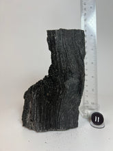 Load image into Gallery viewer, Black Druzy Petrified Wood from Indonesia