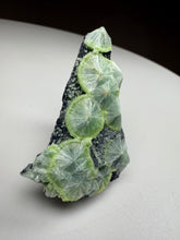 Load image into Gallery viewer, Green Wavellite Cluster Mineral Specimen • Arkansas, USA