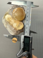 Load image into Gallery viewer, Rare Botryoidal Yellow Fluorite on Quartz Matrix Collector Mineral Specimen – Maharashtra, India