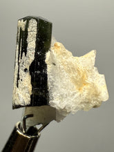 Load image into Gallery viewer, Dark Green Stak Nala Tourmaline and Cleavelandite – Haramosh Mountains, Pakistan | Thumbnail Specimen