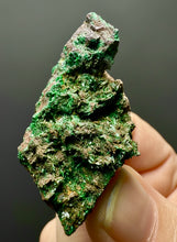 Load image into Gallery viewer, Brochantite Collector Mineral Specimen – Vivid Green Copper Crystals from Morocco