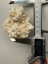 Load image into Gallery viewer, Sulawesi Golden Speckle Bloom Quartz Cluster | Radiant Quartz Crystal Display Specimen | Indonesia