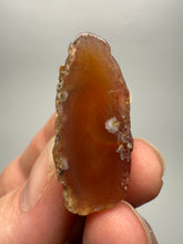 Load image into Gallery viewer, Lot of 4 Small Malawi Agate Halves – Polished Rare Colorful Collector Specimens