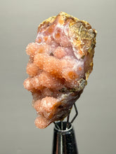 Load image into Gallery viewer, “Goblin Chalcedony” Pink & Orange Druzy Botryoidal Stalactites— Tichka Massif, High Atlas, Morocco