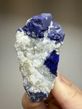 Load image into Gallery viewer, Afghan Lazurite Specimen | Deep Blue Lapis-Grade Crystal on Matrix | Collector Display Mineral