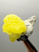 Load image into Gallery viewer, Vibrant Yellow Brucite Thumbnail Mineral Specimen | Collector Crystal from Killa Saifullah District in Balochistan Province, Pakistan