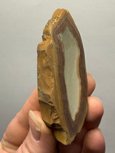 Load image into Gallery viewer, Stromatolite Fossil Slice | Ancient Microbial Reef Structure | Morocco