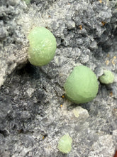 Load image into Gallery viewer, High-Grade Green Wavellite Collectors Specimen - Radiating Botryoidal Crystal Formation - Arkansas, USA