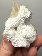Load image into Gallery viewer, Rare Druzy Golden “Diamond” Calcite on Zeolite Matrix — Maharashtra, India | Collector Cabinet Specimen