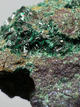 Load image into Gallery viewer, Brochantite Collector Mineral Specimen – Vivid Green Copper Crystals from Morocco