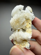 Load image into Gallery viewer, Moroccan Ram’s Horn Selenite (Gypsum) Crystal Display Specimen