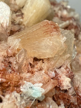 Load image into Gallery viewer, XL Shiny Peach Stilbite on Druzy Red Heulandite – High-Grade Collector Mineral Specimen from India