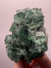 Load image into Gallery viewer, Rare Tenebrescent Color-Changing Cubic Fluorite | Hidden Forest Pocket — Diana Maria Mine, Frosterley, Weardale, County Durham, England