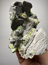 Load image into Gallery viewer, High-Grade Green Wavellite Collectors Specimen - Radiating Botryoidal Crystal Formation - Arkansas, USA