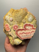 Load image into Gallery viewer, Rhodochrosite Free Form Collector Mineral Display Specimen — Argentina