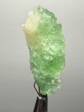 Load image into Gallery viewer, Green Radial “Disco Ball” Apophyllite | Maharashtra, India