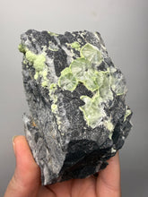 Load image into Gallery viewer, High-Grade Green Wavellite Collectors Specimen - Radiating Botryoidal Crystal Formation - Arkansas, USA