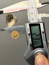 Load image into Gallery viewer, Bivalve (Pelecypoda) Fossil Sea Shell with Chalcopyrite | Mineralized Fossil Specimen | Indonesia