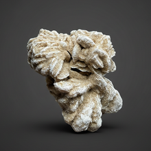 Load image into Gallery viewer, Desert Rose Selenite (Gypsum) — Mineral Display Specimen | Mexico
