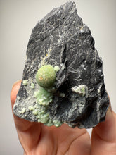 Load image into Gallery viewer, High-Grade Green Wavellite Collectors Specimen - Radiating Botryoidal Crystal Formation - Arkansas, USA