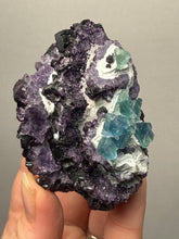 Load image into Gallery viewer, High-Grade Rare Purple-Green-Blue Cubic Fluorite | Cabinet Mineral Collector Specimen | Zhejiang Province, China