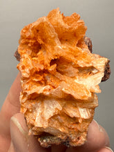Load image into Gallery viewer, Chalcedony Quartz Rose Agate Collector Mineral Specimen – Morocco