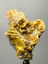 Load image into Gallery viewer, High-Grade Orange Wulfenite Collector Display Specimen | La Morita Mine, Chihuahua, Mexico