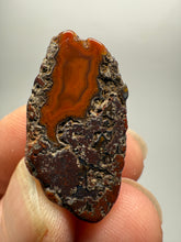 Load image into Gallery viewer, Lot of 9 Small Malawi Agate Halves – Polished Rare Colorful Collector Specimens