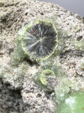 Load image into Gallery viewer, High-Grade Green Wavellite Collectors Specimen - Radiating Botryoidal Crystal Formation - Arkansas, USA
