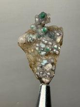 Load image into Gallery viewer, Blue-Green Chrysocolla in Botryoidal Chalcedony Cabinet Specimen | Indonesia