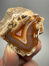 Load image into Gallery viewer, Indonesian Sumatra Agate Half – Vibrant Banded Chalcedony with Rich Color Zoning | Ethical Lapidary & Collector Display Specimens