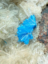 Load image into Gallery viewer, Rare Electric Blue Pentagonite on Druzy Matrix – Collector Mineral Specimen | India