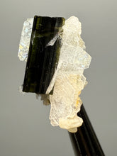 Load image into Gallery viewer, Dark Green Cap Stak Nala Tourmaline with Cleavelandite Flower – Haramosh Mountains, Pakistan | Thumbnail Specimen
