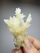 Load image into Gallery viewer, High-Grade Coral Aragonite Specimen | Wenshan Mine, Yunnan, China | Collector Mineral Display
