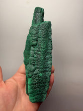Load image into Gallery viewer, 6”+ Triple Malachite Stalactite — Botryoidal “Cave” Formation | DR Congo | Collector Mineral Specimen