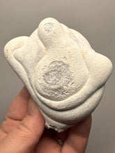 Load image into Gallery viewer, Chichaoua Menalite “Fairy Stone” Concretion | Natural Collector Display Specimen | Morocco