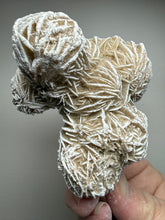 Load image into Gallery viewer, Desert Rose Selenite (Gypsum) — Mineral Display Specimen | Mexico