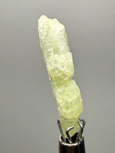 Load image into Gallery viewer, Vibrant Yellow Brucite Thumbnail Mineral Specimen | Collector Crystal from Killa Saifullah District in Balochistan Province, Pakistan