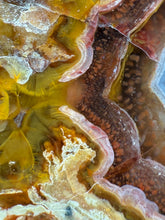 Load image into Gallery viewer, High-Grade Turkish Agate with Botryoidal Chalcedony Vug – Rare Collector’s Gem