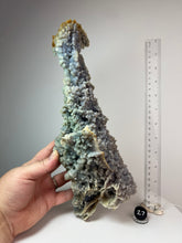 Load image into Gallery viewer, Grape Agate from Indonesia • Mineral Collector’s Showpiece Specimen