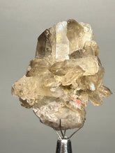 Load image into Gallery viewer, Smoky Quartz Crystal Specimen | Natural Collector Mineral – Brazil