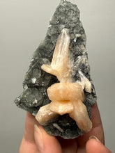 Load image into Gallery viewer, Pink Stilbite Druzy on Botryoidal Black Chalcedony | India | High-Grade Mineral Collector Specimen