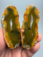 Load image into Gallery viewer, High-Grade Indonesian Sumatra Agate Pair – Vibrant Banded Chalcedony with Rich Color Zoning | Ethical Lapidary & Collector Display Specimens