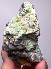 Load image into Gallery viewer, High-Grade Green Wavellite Collectors Specimen - Radiating Botryoidal Crystal Formation - Arkansas, USA