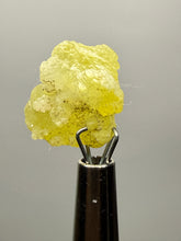 Load image into Gallery viewer, Vibrant Yellow Brucite Thumbnail Mineral Specimen | Collector Crystal from Killa Saifullah District in Balochistan Province, Pakistan