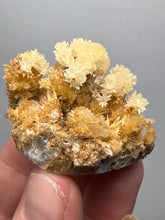 Load image into Gallery viewer, 1.5” High-Grade Flower Calcite Crystal Specimen | Wenshan Mine, Yunnan, China | Collector Mineral Display