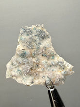 Load image into Gallery viewer, Blue-Green Chrysocolla in Botryoidal Chalcedony Cabinet Specimen | Indonesia
