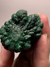 Load image into Gallery viewer, 7.3” Museum-Grade Druzy Malachite Stalactite “Cave” Formation | DR Congo | Mineral Collector Specimen
